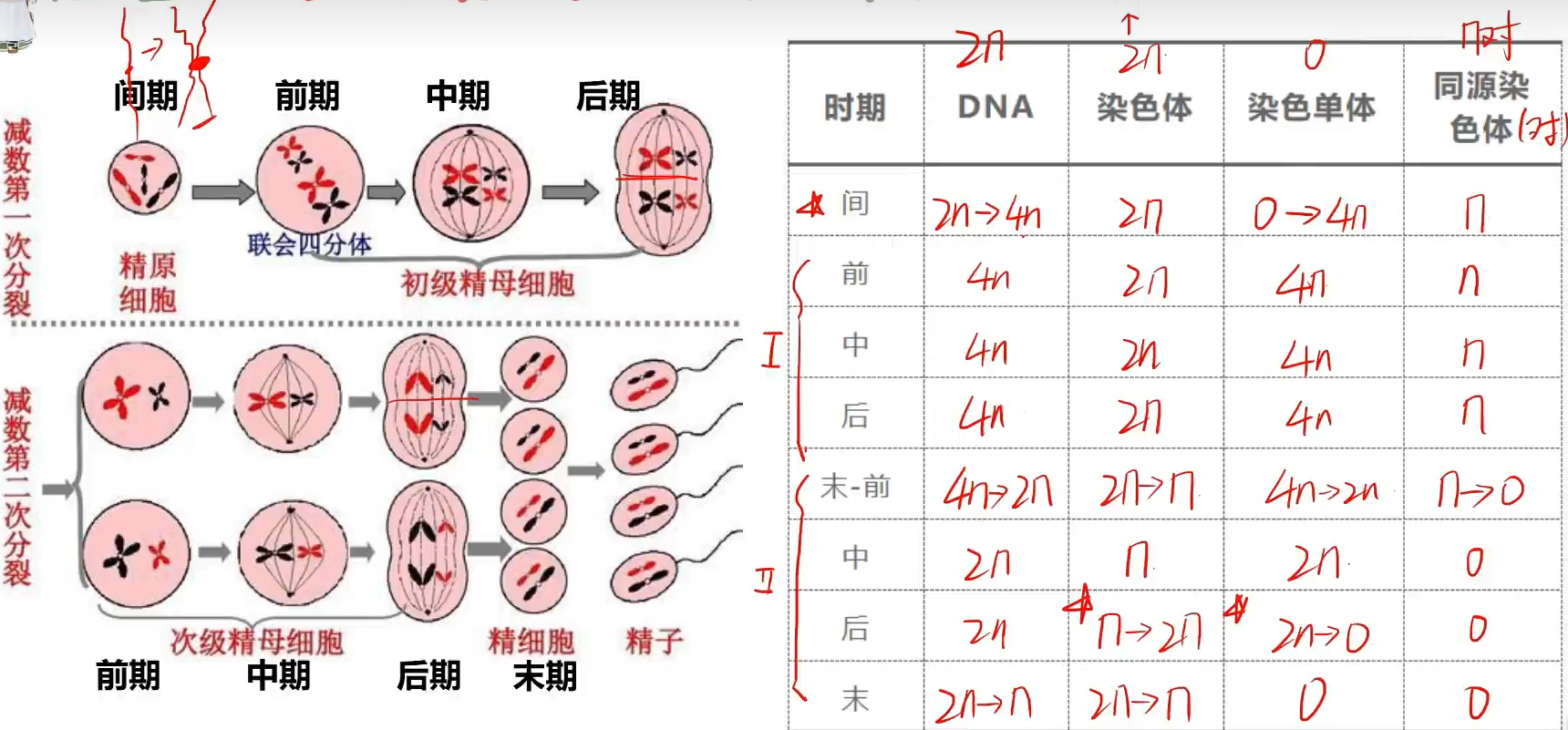 过程图与曲线图