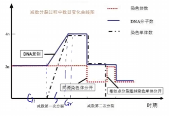 过程图与曲线图