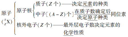 质子，中子与核外电子