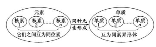 核素与同位素