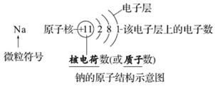 原子（离子）结构示意图